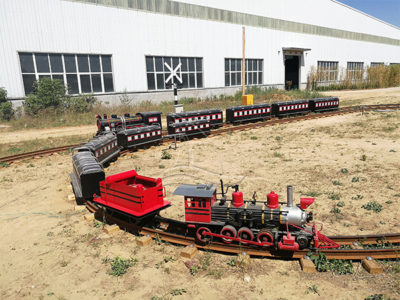 Mini Steam Track Train