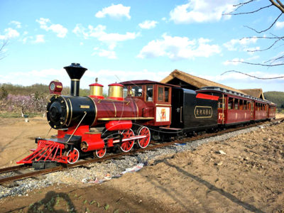 Attractive Scenic Track Train For Sale